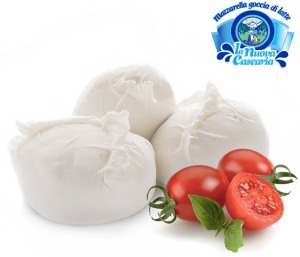 Mozzarella Fiordilatte 125g